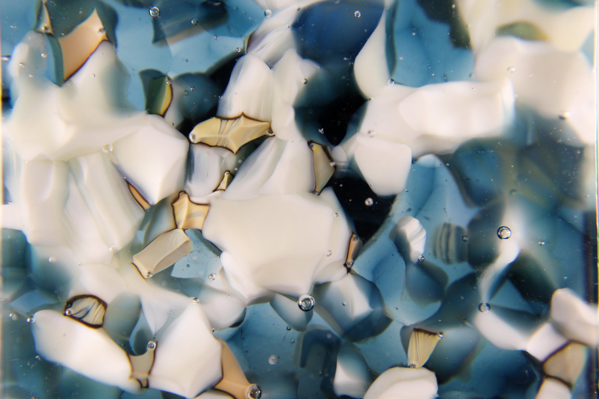 Windborne Studio's Beginning